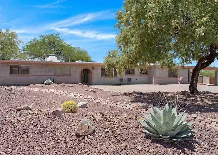 Desert Oasis * Tucson