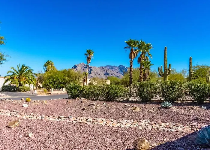 Desert Oasis *