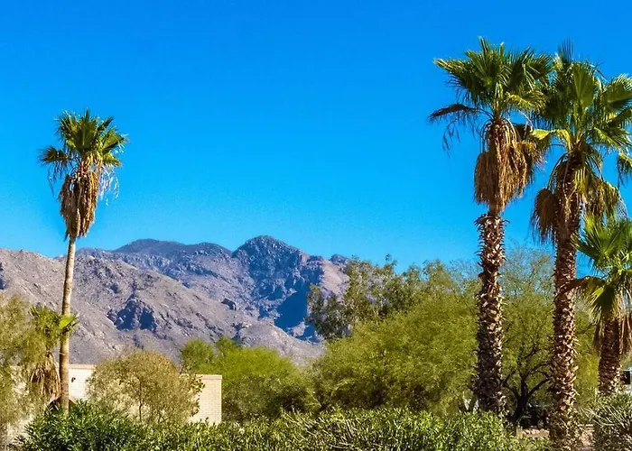 Desert Oasis *