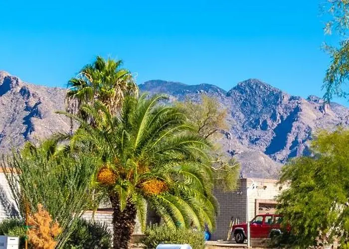 Desert Oasis *